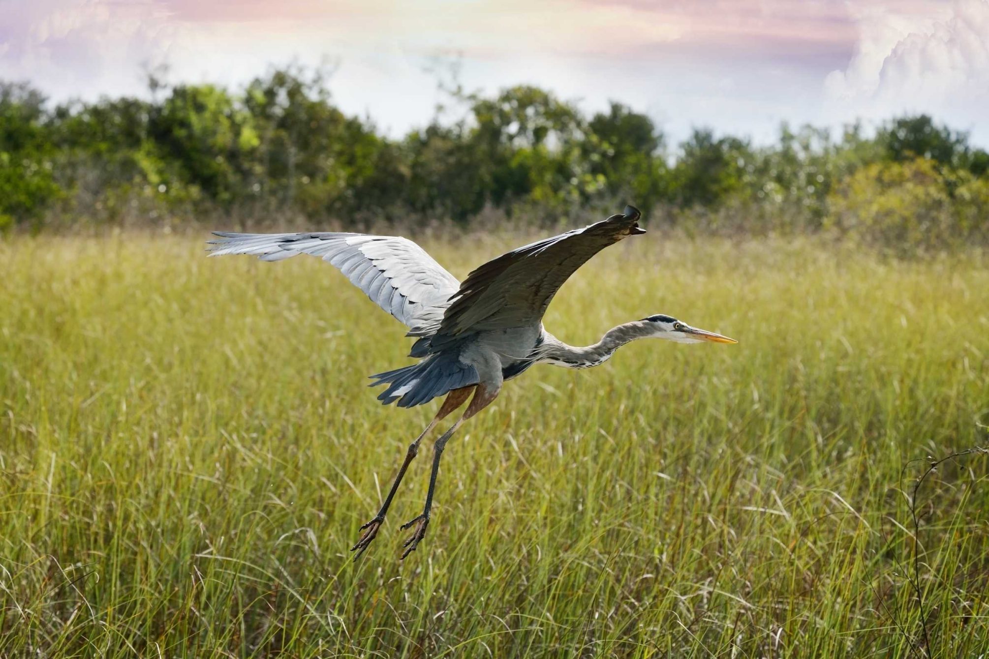 Environmental Planning - Header Image - Thompson Environmental