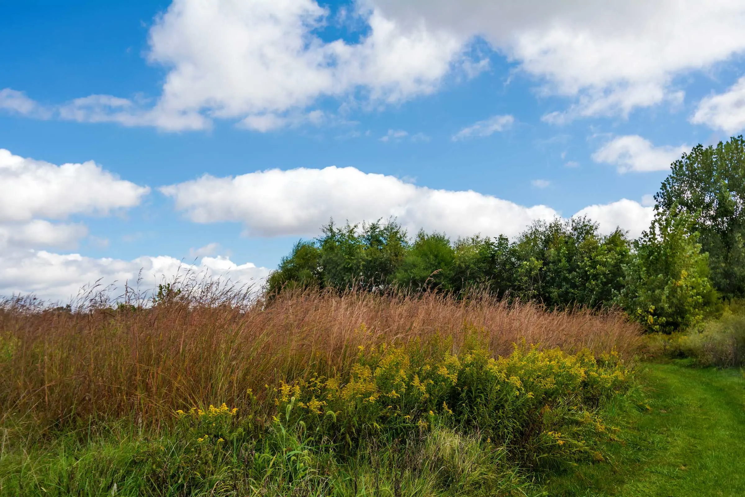 Ecological Design - Header Image - Thompson Environmental